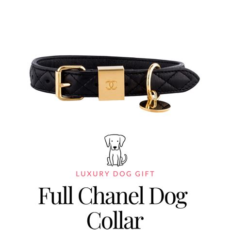 chanel collar for dogs.